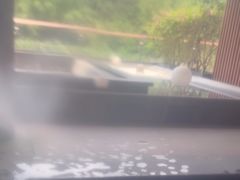 -碧水湾温泉