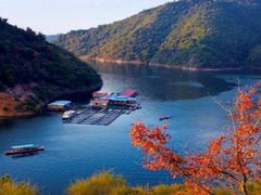 -围龙屋客家食府(福田店)