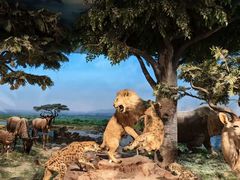 -国家自然博物馆