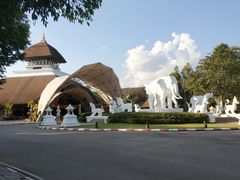 -清迈夜间动物园