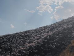 -妙峰山风景名胜区