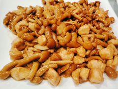 滑子菇炒鸡丁-听涛雅苑百味饺子老家菜馆