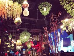 -胡桃里音乐酒馆(白云五号T5 MALL店)