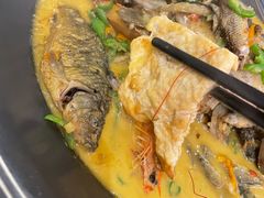 -饭怕鱼·黄焖鲟龙鱼(湖大店)