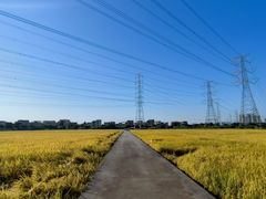 -低涌(地铁站)