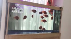 -WENDY·温迪皮肤管理