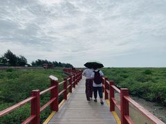 -北海金海湾红树林生态旅游区