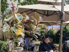 -老地方猫儿面(磁器口店)