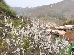 -北京山里寒舍度假酒店