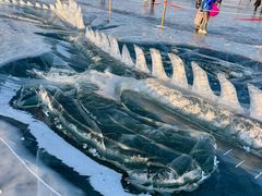 -长春市南湖公园