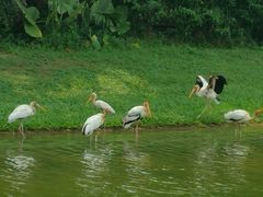 android_upload_pic-河川生态园