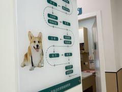 -瑞派康怡24h宠物医院·犬猫医疗中心·微创绝育(瑞景分院)