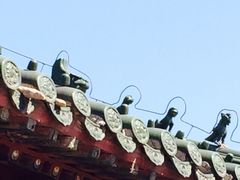 -延庆观