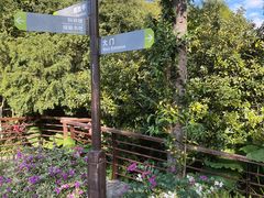 -深圳仙湖植物园