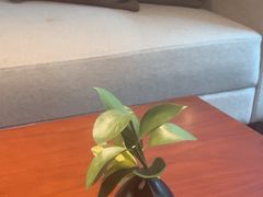 -璞瑄酒店大堂吧
