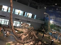 -自贡恐龙博物馆