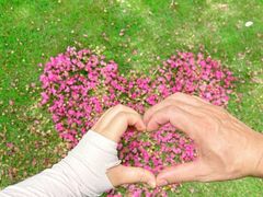 -杭州城北体育公园