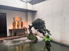 -觀芷隐轩