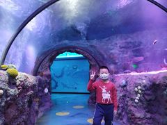 -沈阳海洋探索中心