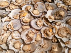 扇贝-星伦多 自助料理(圆融店)