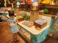 -杭州开元森泊度假乐园