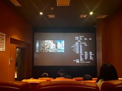 -华美国际影城(旧宫永辉店)