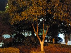 -湘爵士(王府井百货黄兴中路店)