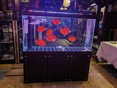 -赵记老铺(市府恒隆广场店)
