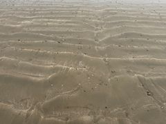 -东海半边山旅游度假区
