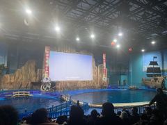 -华夏文旅海洋公园