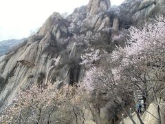 -北京凤凰岭