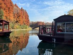 -溱湖国家湿地公园