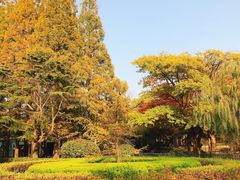 -八大关景区