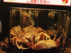 -蟹道乐(道顿堀本店)