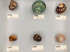 -天津古林古海岸遗迹博物馆