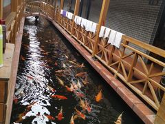 -侠成水上农庄(工业大道店)