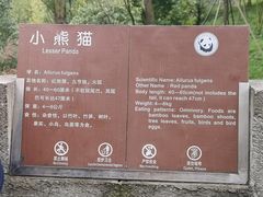 -都江堰中华大熊猫苑