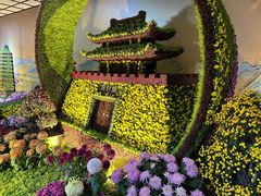 -杭州植物园