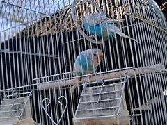 -汉唐宴长安食府