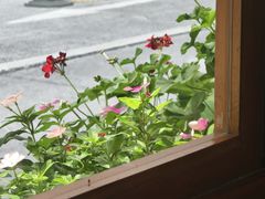 -节节香.成都非遗肥肠粉(总店)