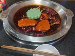 -大龙燚火锅(春熙店)