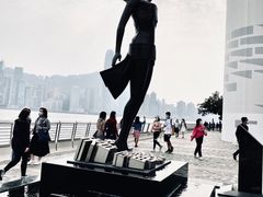 -星光大道