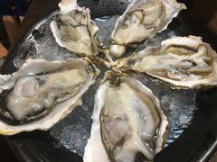 法國生蠔-松岛日本料理(汾江路店)