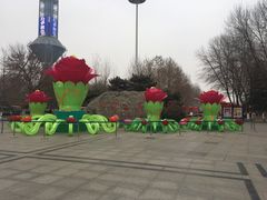 -裕华世纪公园
