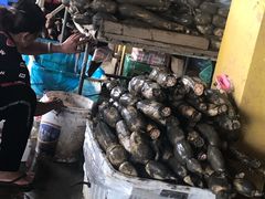 -南沙十九涌渔人码头-南门