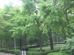 -朝阳公园真人CS