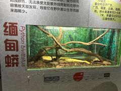 -广州长隆飞鸟乐园