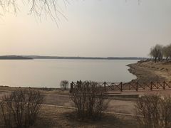 -丁香湖公园