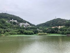 -广州碧桂园凤悦凤凰城酒店