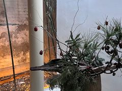 -曲廊院(东四十一条店)